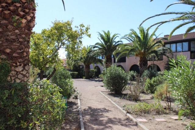 Appartement Saint Cyprien Plage 6 Couchages Eksteriør bilde